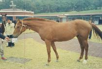 ���Ǽ� (HAPPY SON) ����