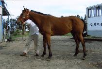 �������� (GWANGGYO JEONGSANG) ����