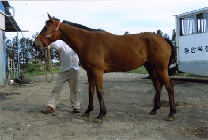 �������� ����