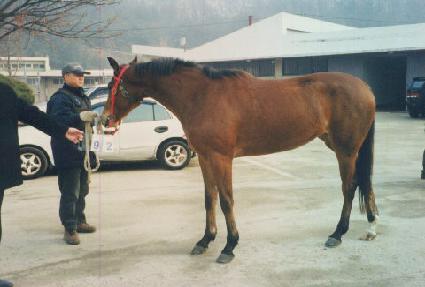 °���� ����