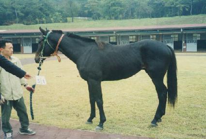 �ҹ��� ����