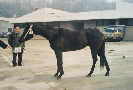 ��ǳ ����