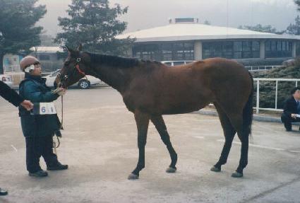 ���緯 ����