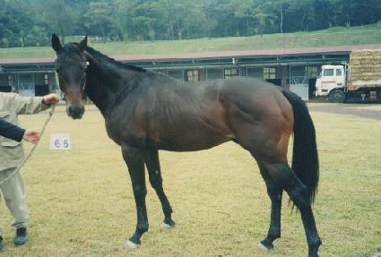 ŷ�� ����