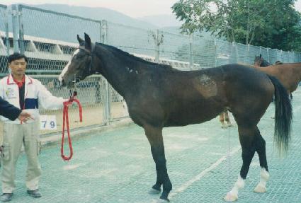 ���ƾ� ����