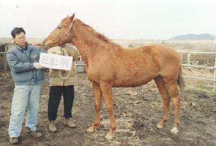 �߿��� ����