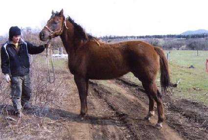 �Ƶ� ����