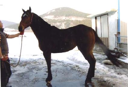 ��Ű���� ����