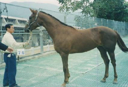 �������¼��� ����