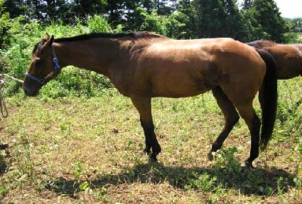 ���� ����