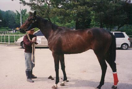 ����� ����