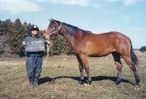 �ڽ°��� (JASEUNG GAGANG) ����