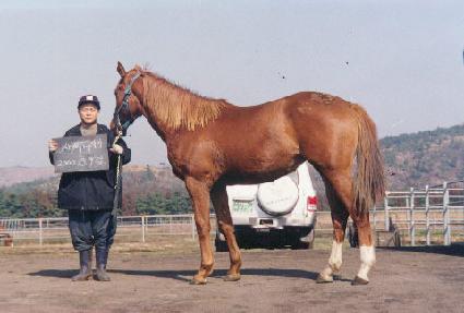 ���⹫�� ����