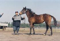 �������� (JEONCHA GUNDAN) ����