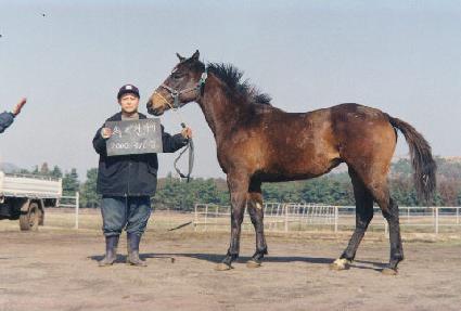 �������� ����