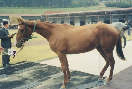 ��ó�� ����