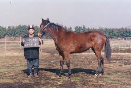 �������� ����