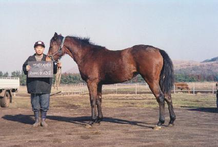 �������� ����