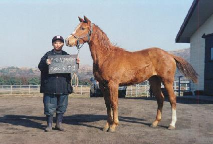 �̽�ƽ�� ����