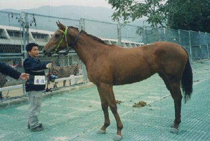 ��ȣ�� ����