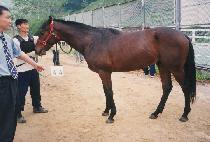 ���Ǵ� (BEOMUINUN) ����