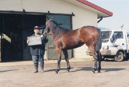 ��û�� ����