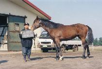 ȣ�� (HOPYEONG) ����