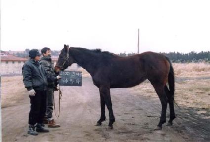 �߿Ϳ� ����