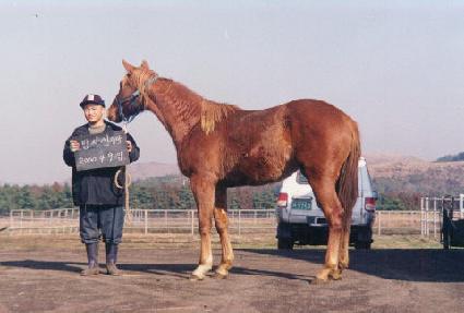 ���ǳ ����