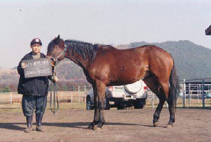 �����ֿ� ����