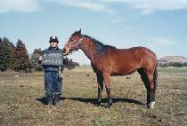 ������ (ENDORPHIN) ����