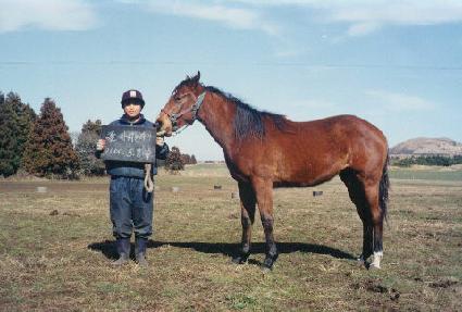 ������ ����