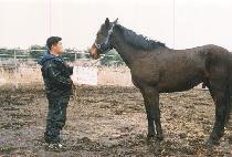 ���� (MANSANG) ����