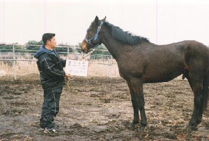 ���� ����