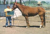 ���� (HYEONGTONG) ����