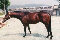 Ǫ������ (PUREUN JIPYEONG) ����