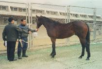 �ߺ����� (BALBONSAEKWON) ����