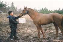 �¹鼶�� (TAEBAEK SEOMGWANG) ����