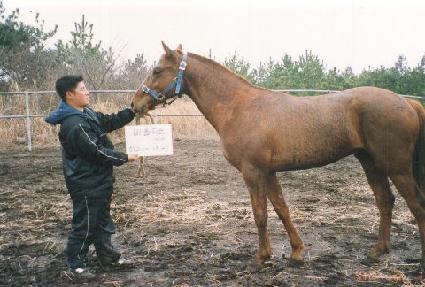 �¹鼶�� ����