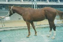 ���̿��̽�Ÿ (HIGHWAY STAR) ����