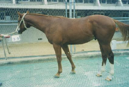 ���̿��̽�Ÿ ����