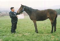 �޾Ƹ� (KKUMAREUM) ����