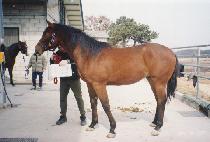 �뵿�� (DAEDONGMAEK) ����