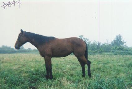 �ݰ� ����