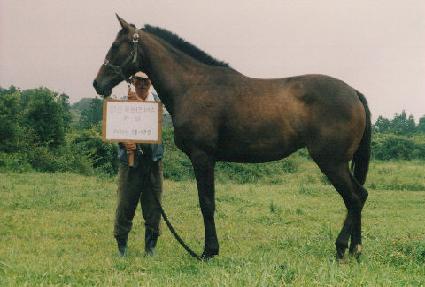 ���� ����