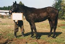 �̾��� (IEOJUNG) ����