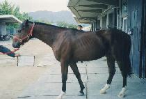 Ǯ���� (FULL JOY) ����