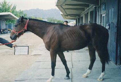 Ǯ���� ����