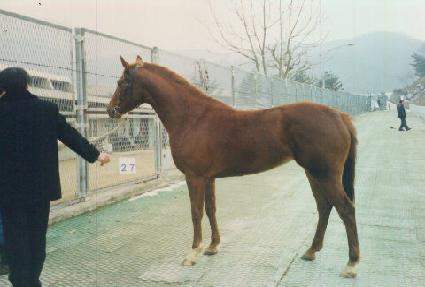 ������ ����