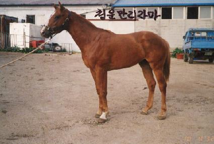 ����õ ����